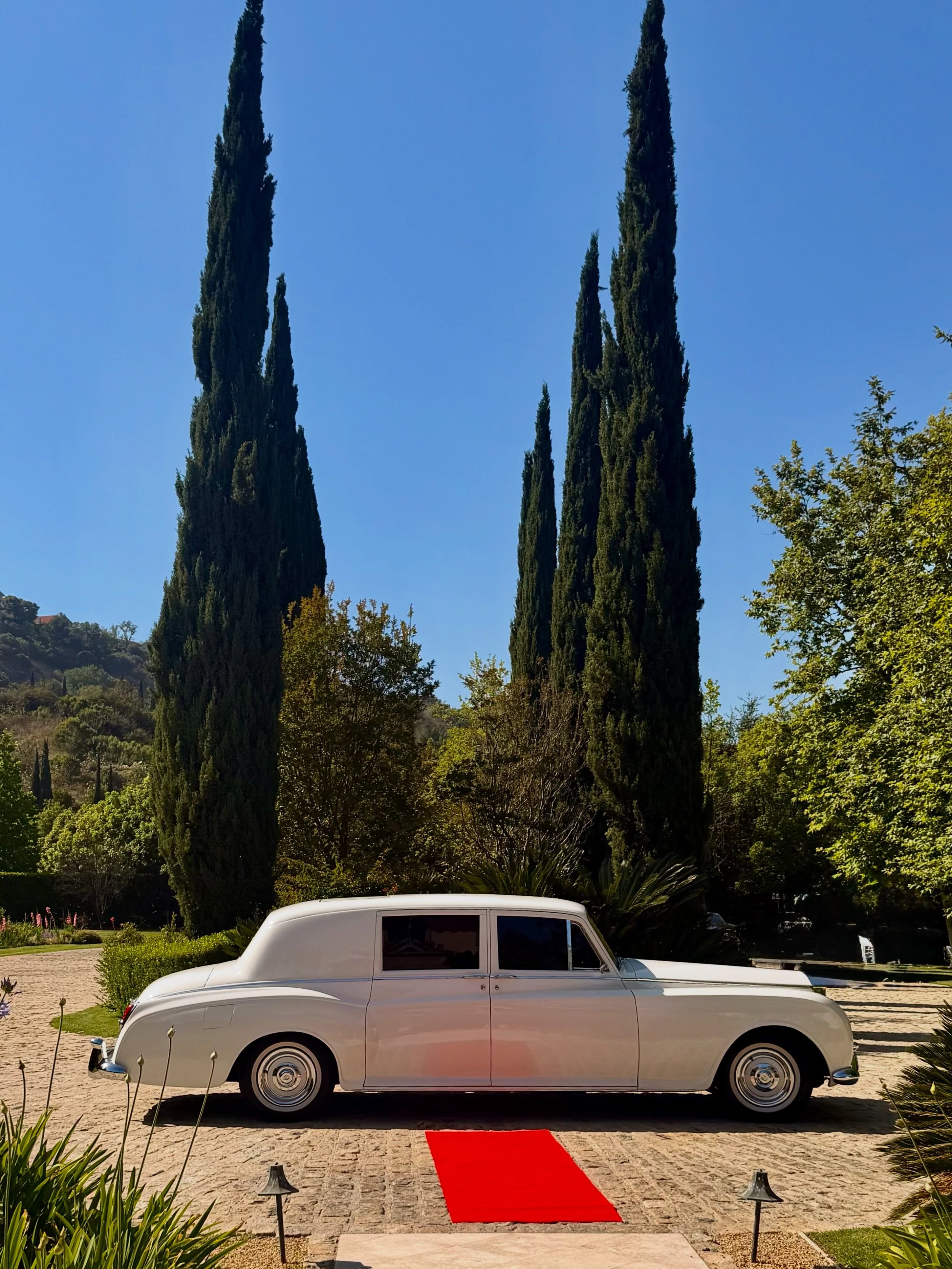 A classic white Rolls-Royce arriving beside a red carpet
