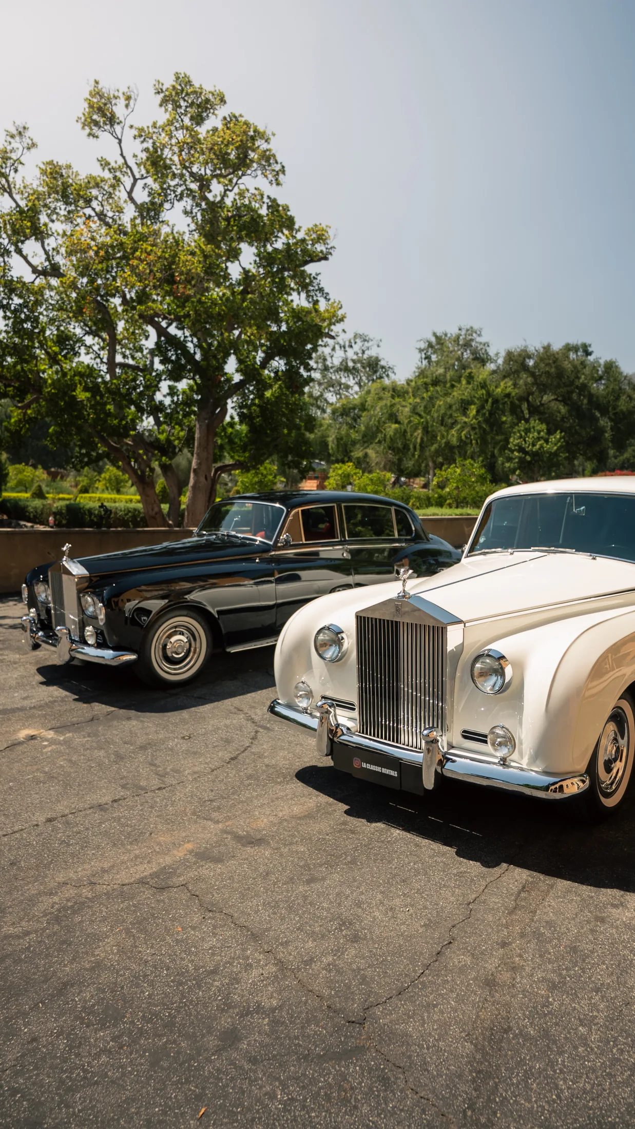 Photo from the LA Classic Rentals gallery